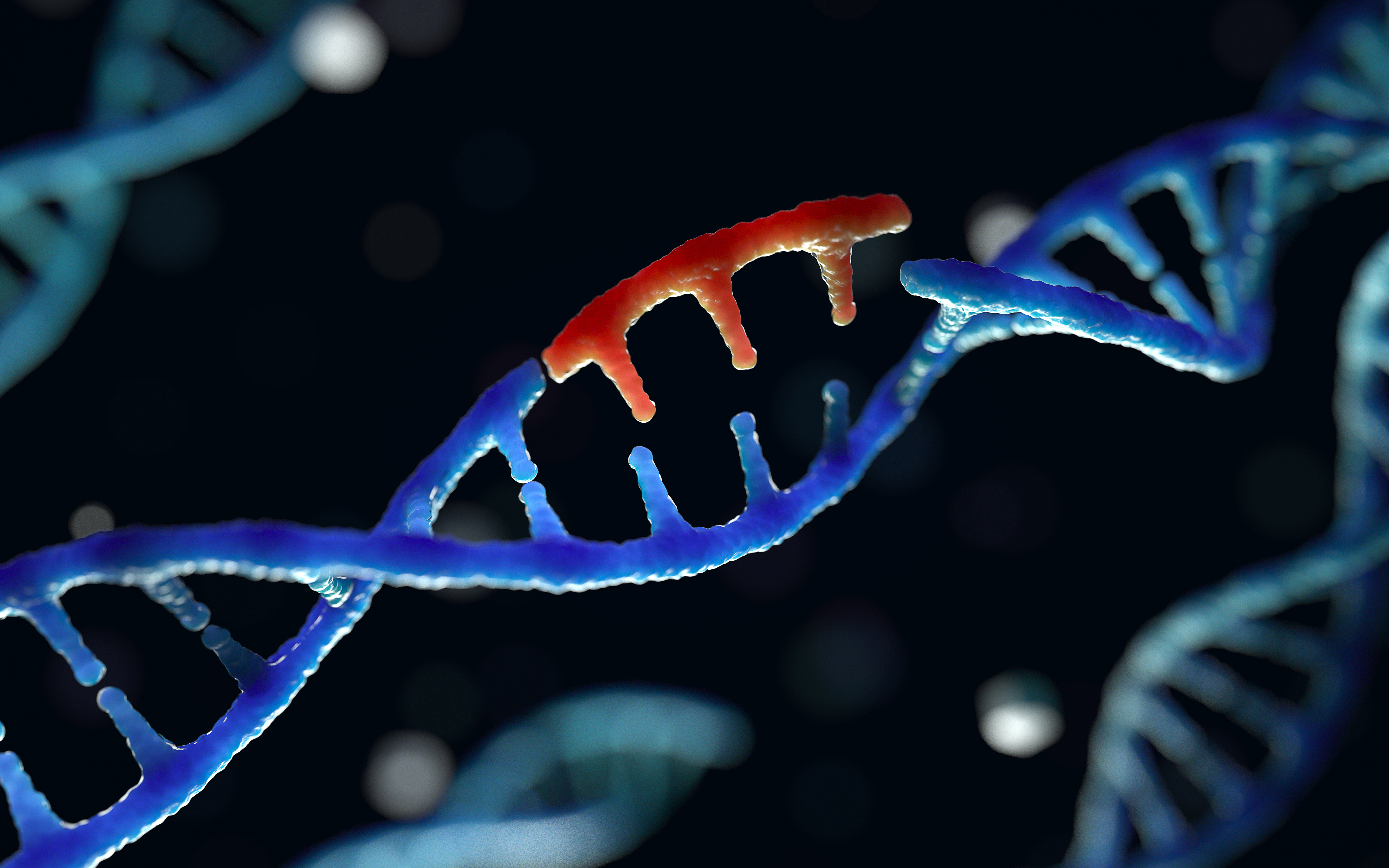 Gene variant corrected within the host DNA through gene editing, a type of gene therapy