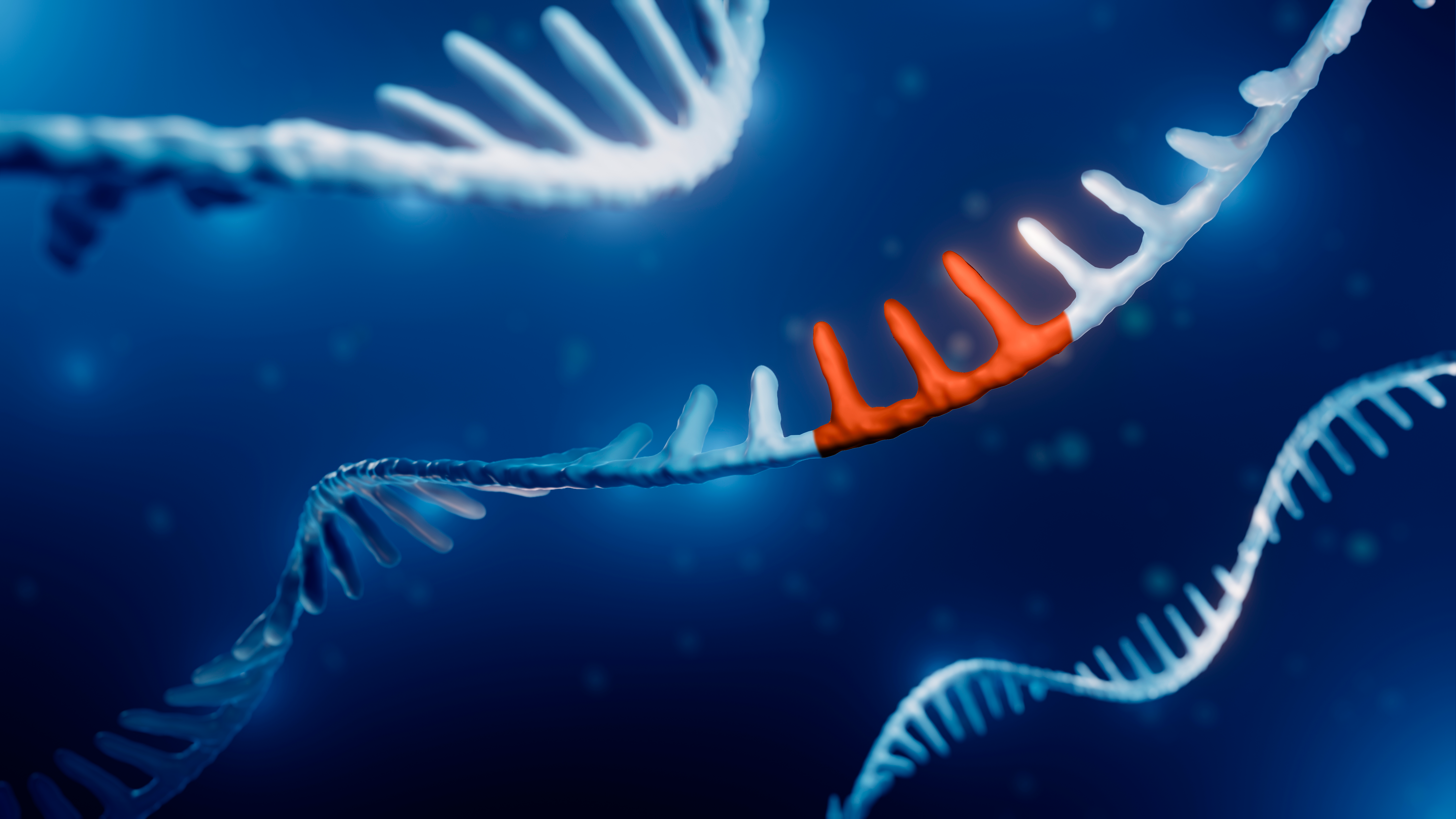 Ribonucleic acid (RNA) being altered through RNA editing, a type of gene therapy