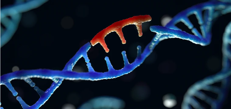 Gene variant corrected within the host DNA through gene editing, a type of gene therapy