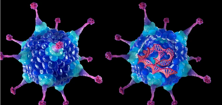 Normal copy of mutated gene inserted into the host cells through gene replacement therapy (augmentation therapy)