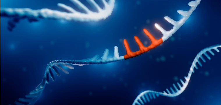 Ribonucleic acid (RNA) being altered through RNA editing, a type of gene therapy